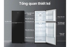 Tủ lạnh Hisense RT256N4EBN 205L