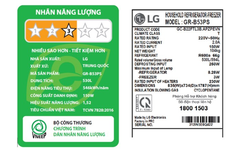 Tủ lạnh LG GR-B53PS Inverter 530 lít