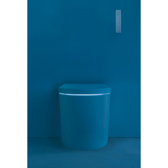 Bồn cầu điện tử Duravit 620000002500320 dòng sensowahs I plus màu thép