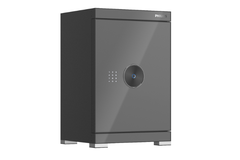 Két sắt Philips SBX602-6CU 89KG Grey