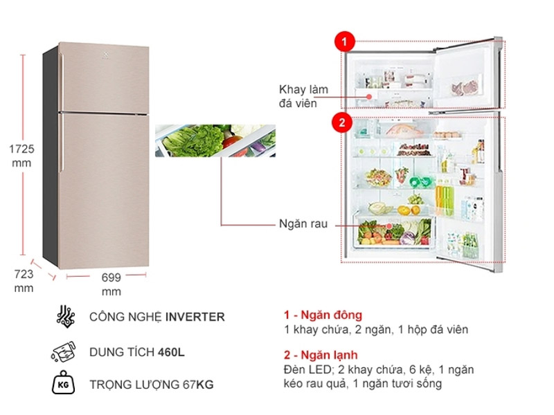 Thông số tủ lạnh Electrolux 431L ETB4600B-G