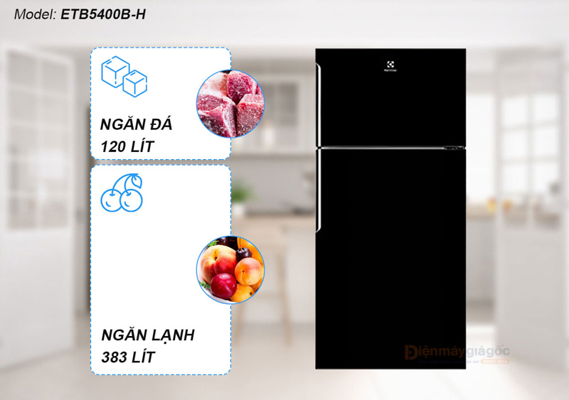Tủ lạnh Electrolux 503L ETB5400B-H sở hữu dung tích lớn 