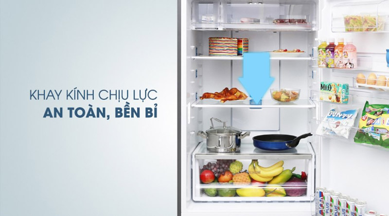 Tủ lạnh Electrolux 503L ETB5400B-G với khay kính chịu lực an toàn, bền bỉ