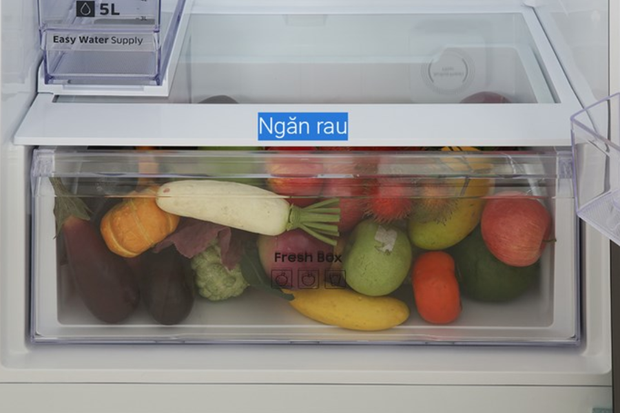 Tủ lạnh Samsung RT42CG6584B1SV 406 lít