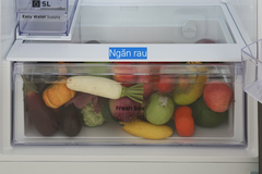 Tủ lạnh Samsung RT42CG6584B1SV 406 lít