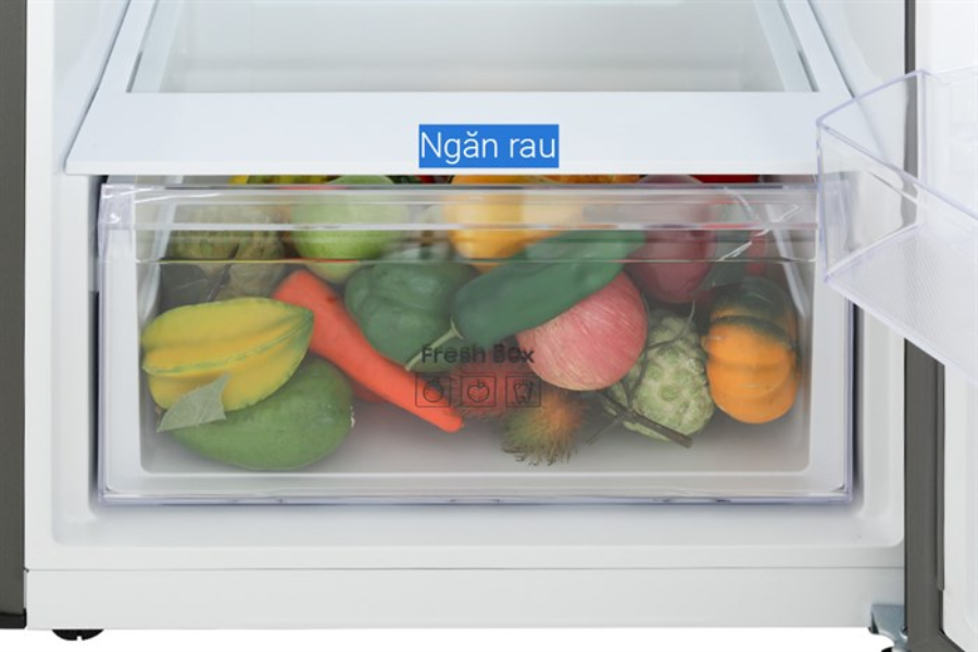 Tủ lạnh Samsung RT35CG5424B1SV 348 lít