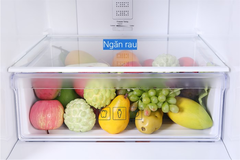 Tủ lạnh Samsung RB27N4010BU/SV 280 lít