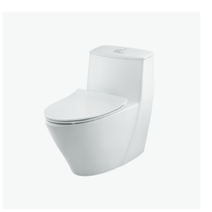 Bàn cầu 1 khối Inax AC-919VRN