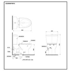 Bàn cầu hai khối TOTO CS300DT8Y1 nắp TC600VS
