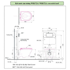 Bàn cầu treo tường TOTO CW162/TC384CVK/WH172A/MB174P#WH