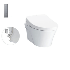 Bàn cầu treo tường TOTO CW822RA/WH172A/TCF4911Z/MB170P#SS
