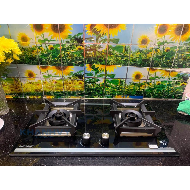Bếp gas Eurosun EU-GA292SA