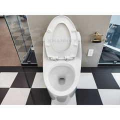 Bàn cầu một khối ICONIC Hafele 588.79.400