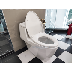 Bàn cầu một khối ICONIC Hafele 588.79.400