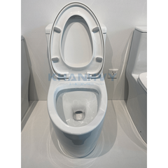 Bàn cầu một khối ICONIC Hafele 588.79.402