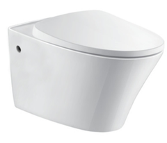 Bàn cầu Moen SW0313PO treo tường