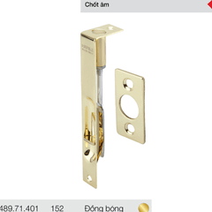 Chốt âm-Inox mờ 152mm Hafele 489.71.401