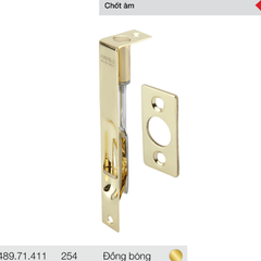 Chốt âm-Inox mờ 254mm Hafele 489.71.411