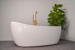 Bồn tắm cá heo ngâm Maamo MA-2429