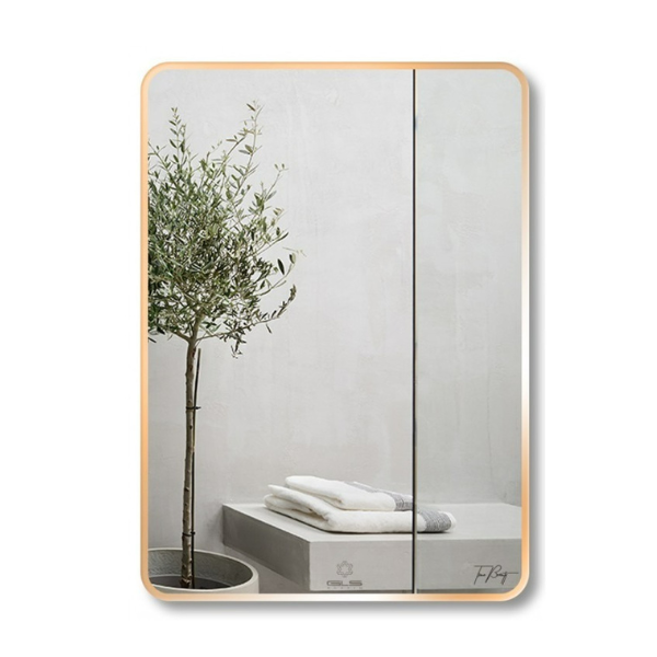 Gương chữ nhật GLS F13R30
