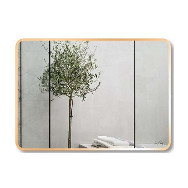 Gương chữ nhật GLS F13R60