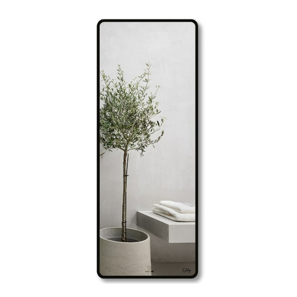 Gương viền nhôm body GLS F11R70