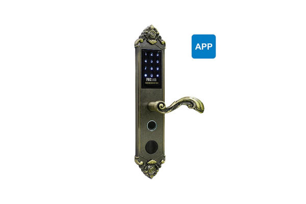 Khóa vân tay PHGlock FP6135GB - R App