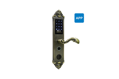 Khóa vân tay PHGlock FP6135GB - R App