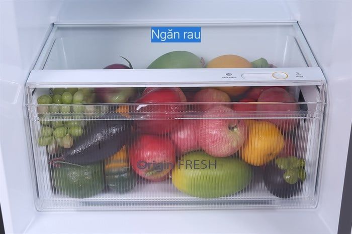 Tủ lạnh Toshiba GR-RT435WE-PMV(06)-MG 367 lít