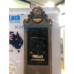 Khóa điện tử PHGlock KR6135 - R App