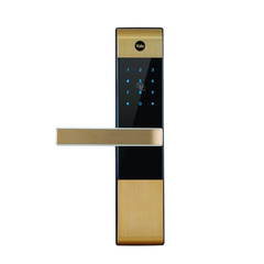 Khóa điện tử Yale YDM3109A GOLD