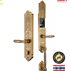 Khóa Vân Tay Hubert HB DS79