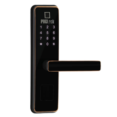 Khóa vân tay phglock FP6011-BC