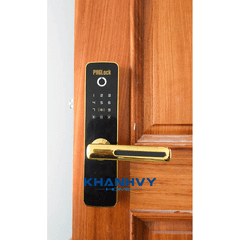 KHÓA VÂN TAY PHGLOCK FP7153G