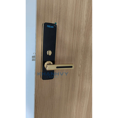 Khóa vân tay PHGlock FP7155G - R App