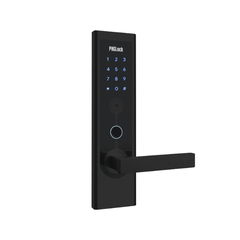 Khóa vân tay PHGlock FP8131B - L APP
