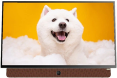 Tivi Coocaa 24LP6000G 24 inch Full HD