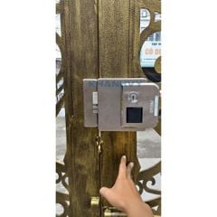 Khóa cổng PHGlock KE38-SC