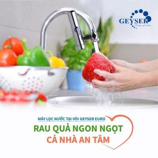 Máy lọc nước tại vòi Geyser Euro M