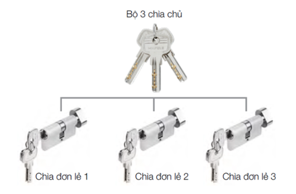 Bộ 3 Ruột Khóa Chìa Chủ Một Cấp Hafele 489.56.410