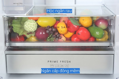 Tủ lạnh Panasonic NR-BW530XMMV 2 cánh cao cấp 500 lít