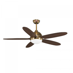 Quạt trần hiện đại cánh gỗ Mr.Vu DAISY GOLD