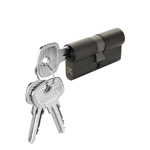 Ruột khóa hai đầu chìa dài 61mm Hafele 916.63.900