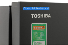 Tủ lạnh Toshiba GR-RB405WEA-PMV(06)-MG Inverter 321 lít