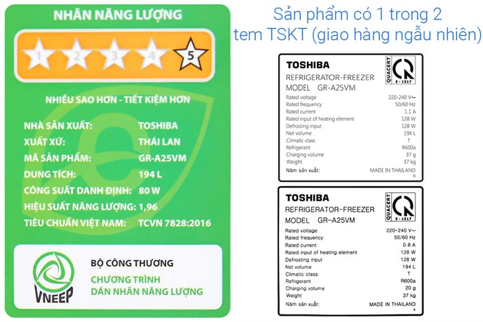 Tủ lạnh Toshiba GR-A25VM(UKG1) 194 lít