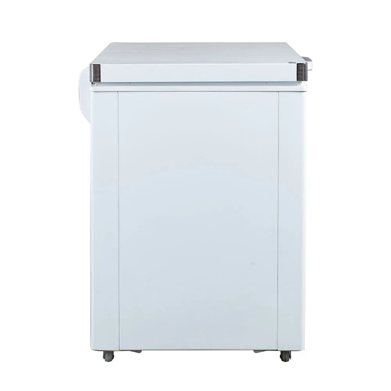 Tủ đông Alaska BD-300C