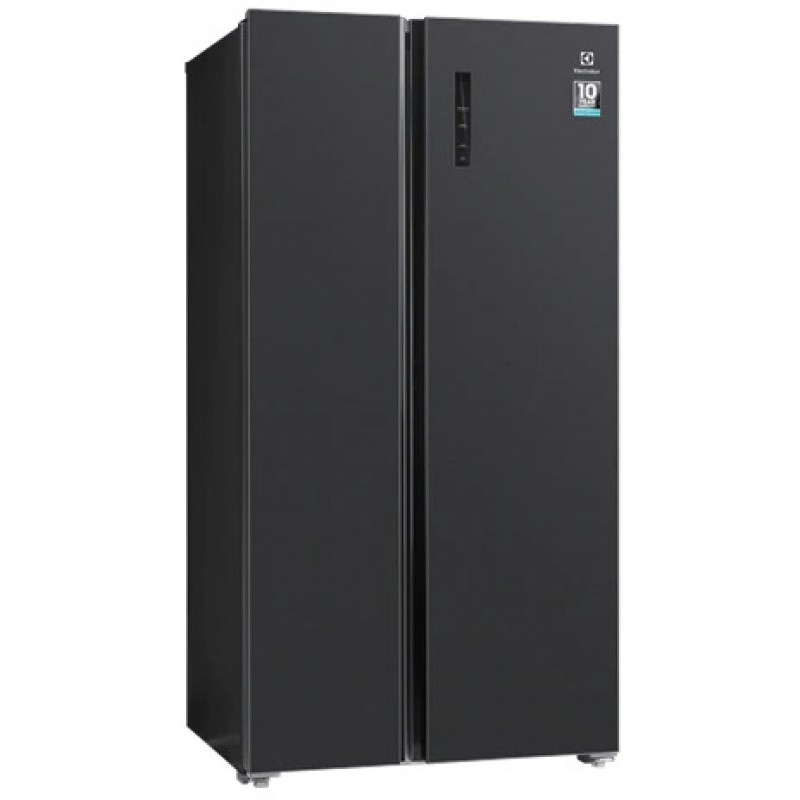 Tủ lạnh Electrolux ESE5401A-BVN