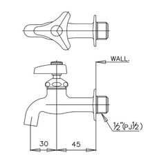 Vòi lavabo nước lạnh gắn tường Cotto CT170C6(HM)