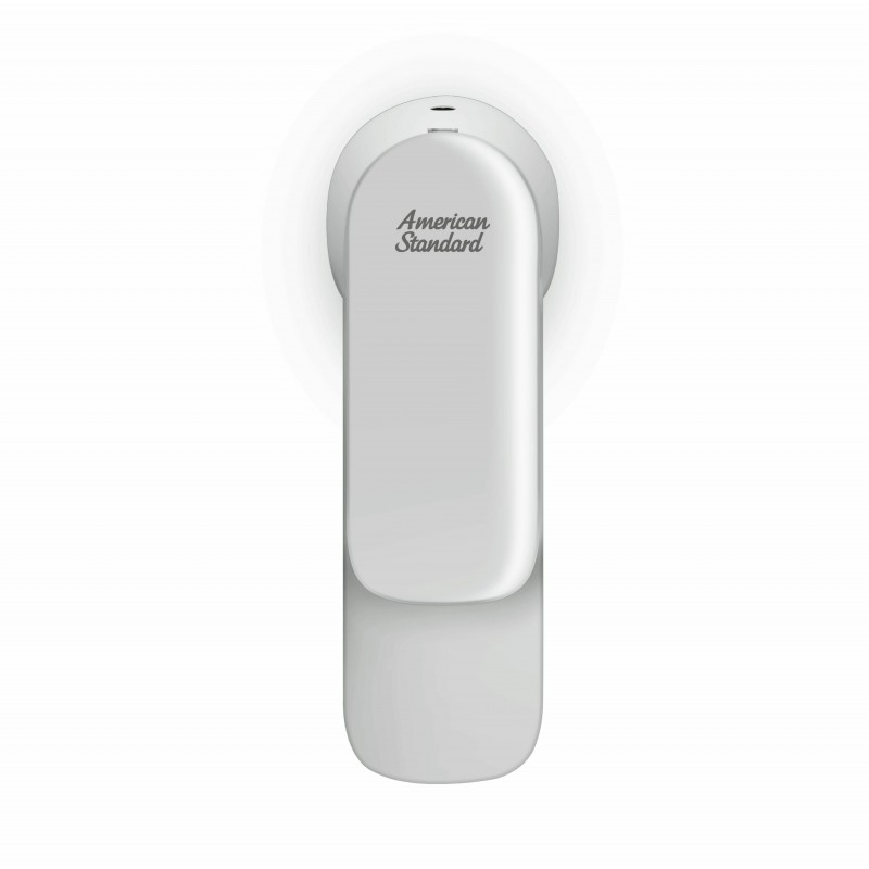 Vòi lavabo lạnh American Standard WF-1M06