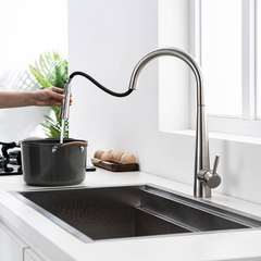 Vòi rửa bát Kluger KLF0009S